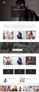 Hugo – A SuperStore eCommerce WordPress Theme – CssIgniter Review